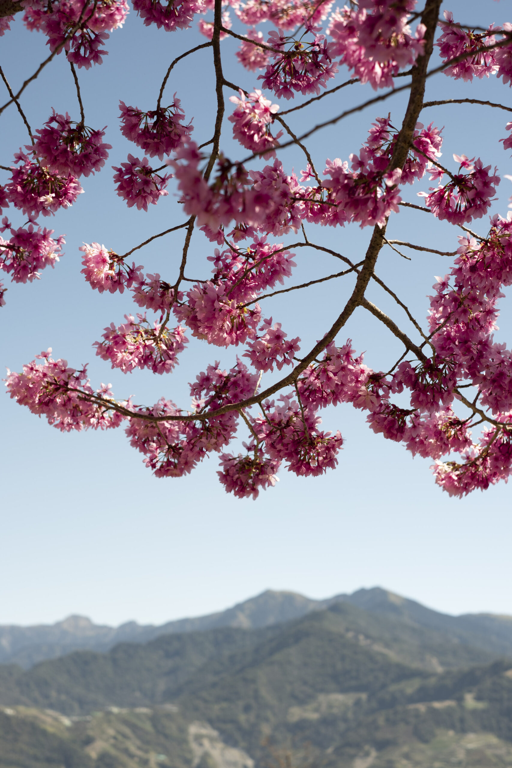 Beitou by Jessica Nguyen 2024