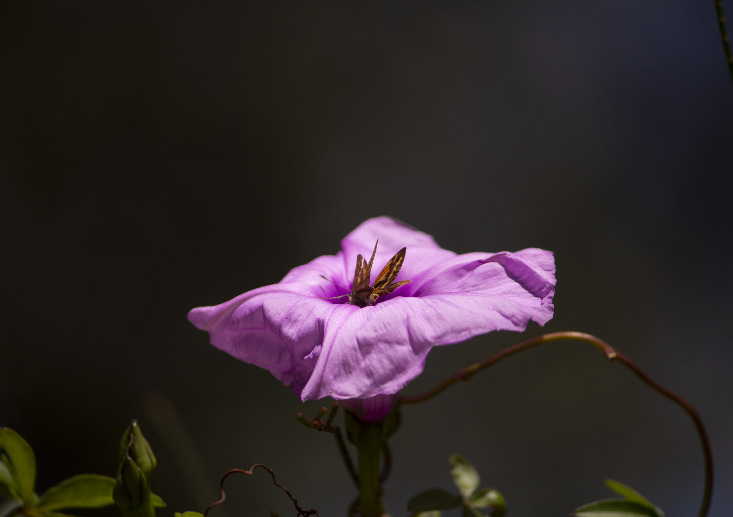 Safe Place by Jessica Nguyen 2024