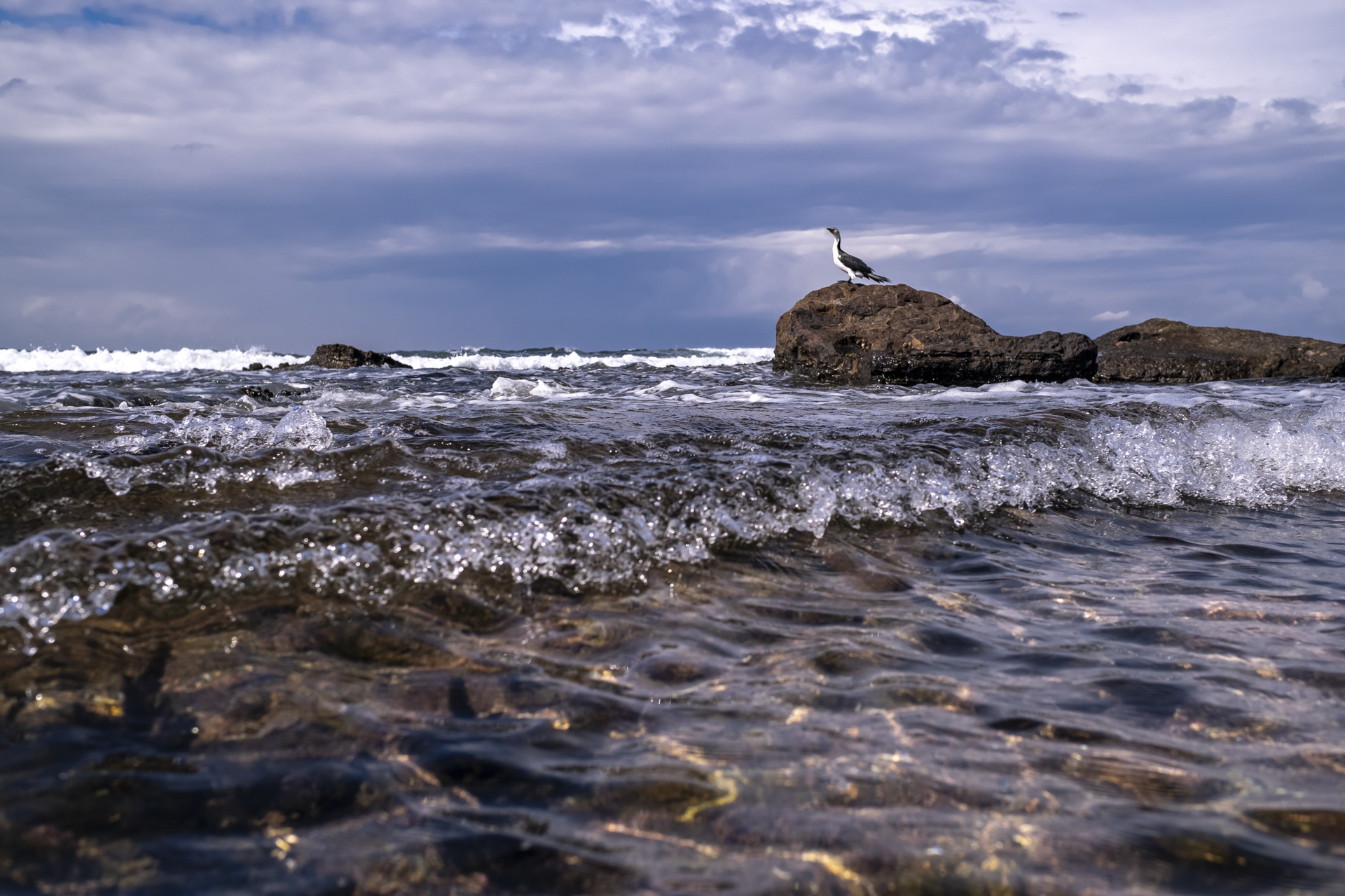 Sentinel - Newport by Ant Cummins 2024